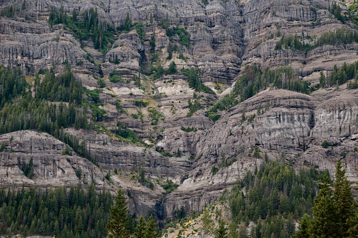 Mountain Goat 6220.jpg